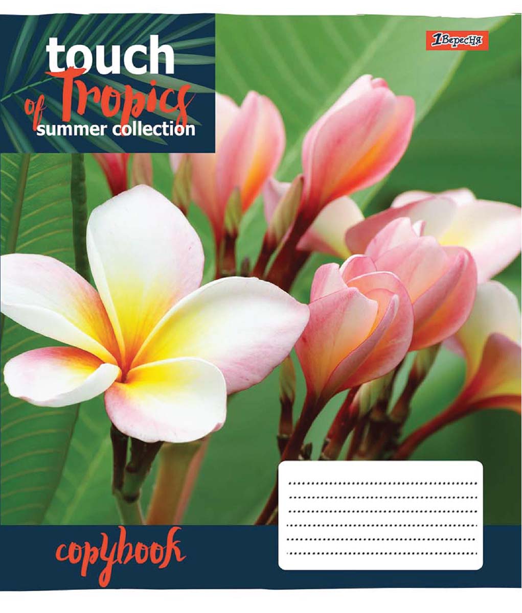 Набор тетрадей ученических 1 Вересня Touch tropics А5 24 листа в линейку 20 шт (765452)
Набор тетрадей ученических 1 Вересня Touch tropics А5 24 листа в линейку 20 шт (765452)
