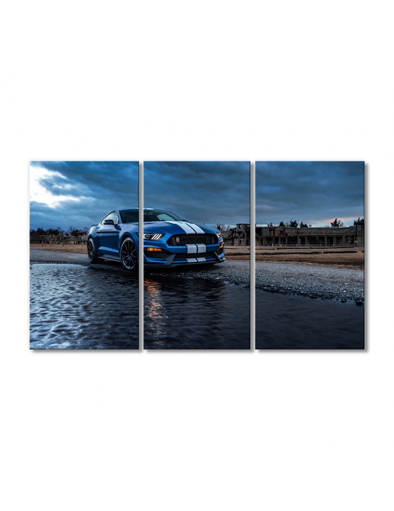 Модульная картина Artel «Автомобиль Форд Мустанг Шелби GT500» 3 модуля 80x120 см
Модульная картина Artel «Автомобиль Форд Мустанг Шелби GT500» 3 модуля 80x120 см