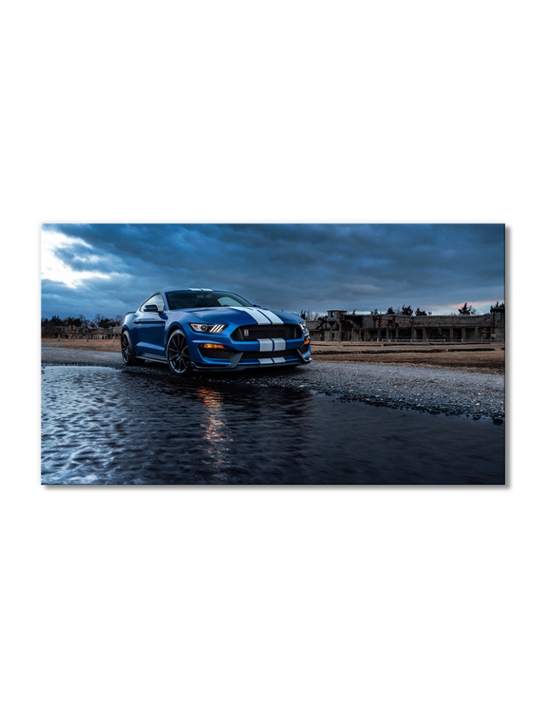 Модульная картина Artel «Автомобиль Форд Мустанг Шелби GT500» 1 модуль 70x105 см
Модульная картина Artel «Автомобиль Форд Мустанг Шелби GT500» 1 модуль 70x105 см