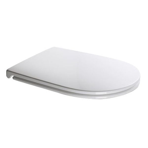 Крышка для унитаза Axa Dp Slim с функцией SoftClose, белый глянцевый (AF8401)
Крышка для унитаза Axa Dp Slim с функцией SoftClose, белый глянцевый (AF8401)