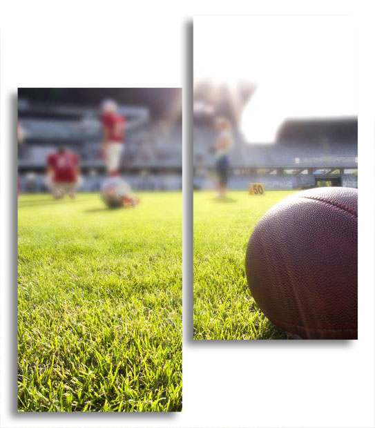 Модульная картина LaPrint Американский футбол 130х150 см 
Модульная картина LaPrint Американский футбол 130х150 см