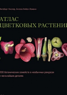 Атлас цветковых растений. 200 ботанических семейств в необычных ракурсах и мельчайших деталях. Издательство Колибри. 87475
Атлас цветковых растений. 200 ботанических семейств в необычных ракурсах и мельчайших деталях. Издательство Колибри. 87475