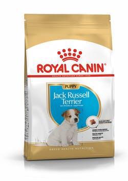 Royal Canin Jack Russell Terrier Junior 3 кг сухой корм (Роял Канин) для щенков джек рассел терьера
Royal Canin Jack Russell Terrier Junior 3 кг сухой корм (Роял Канин) для щенков джек рассел терьера