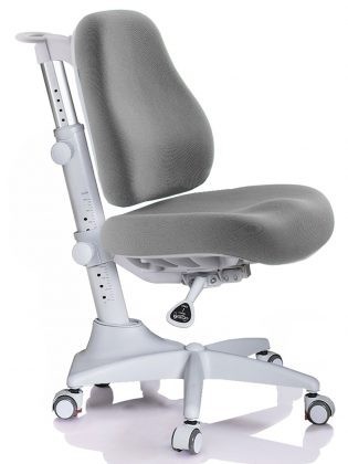 Кресло детское Mealux Match gray base обивка серая однотонная / серое основание Y-528 G
Кресло детское Mealux Match gray base обивка серая однотонная / серое основание Y-528 G