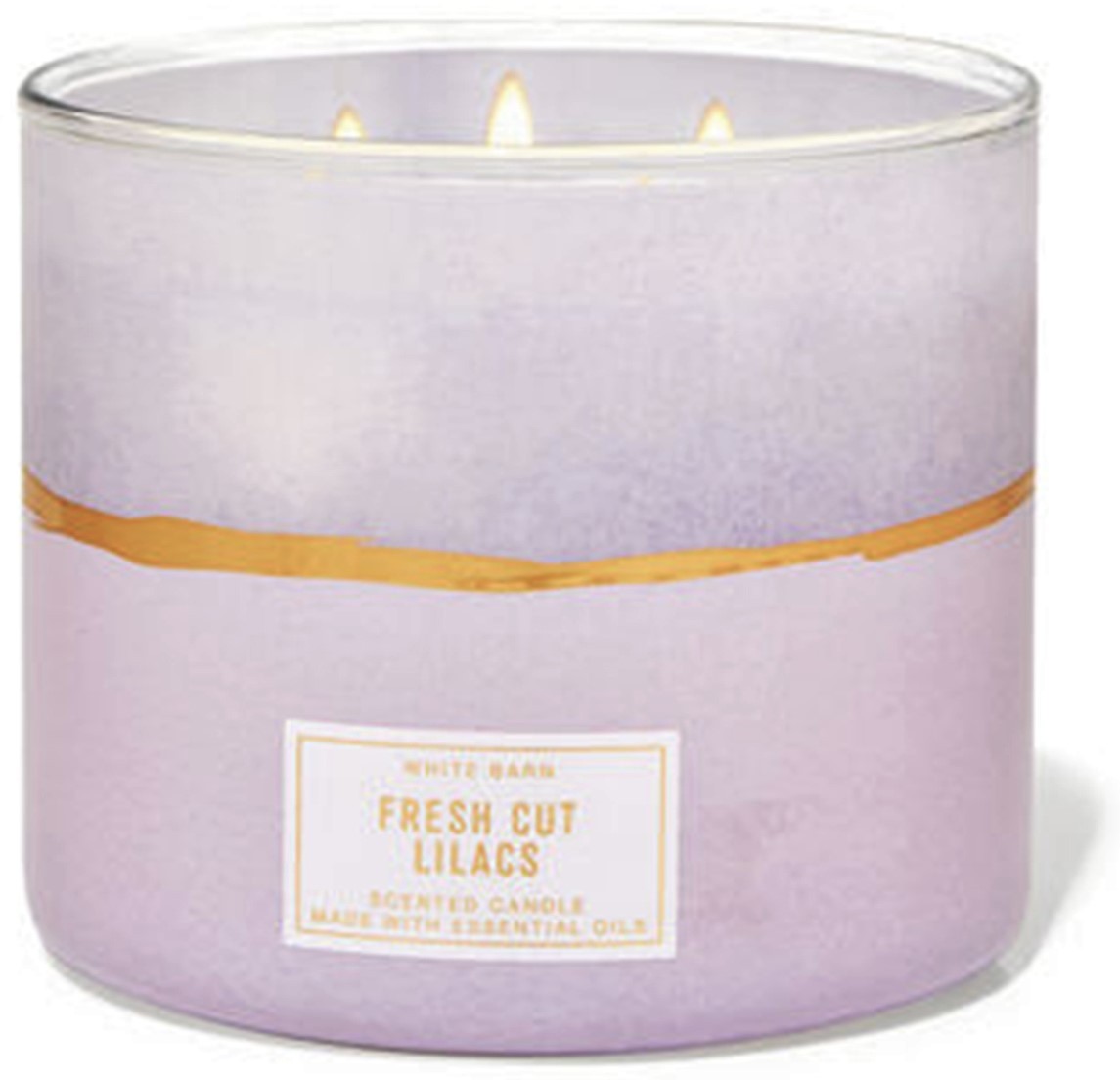 Свеча ароматизированная Bath and Body Works FRESH CUT LILACS 3-Wick Candle 411 г
Свеча ароматизированная Bath and Body Works FRESH CUT LILACS 3-Wick Candle 411 г