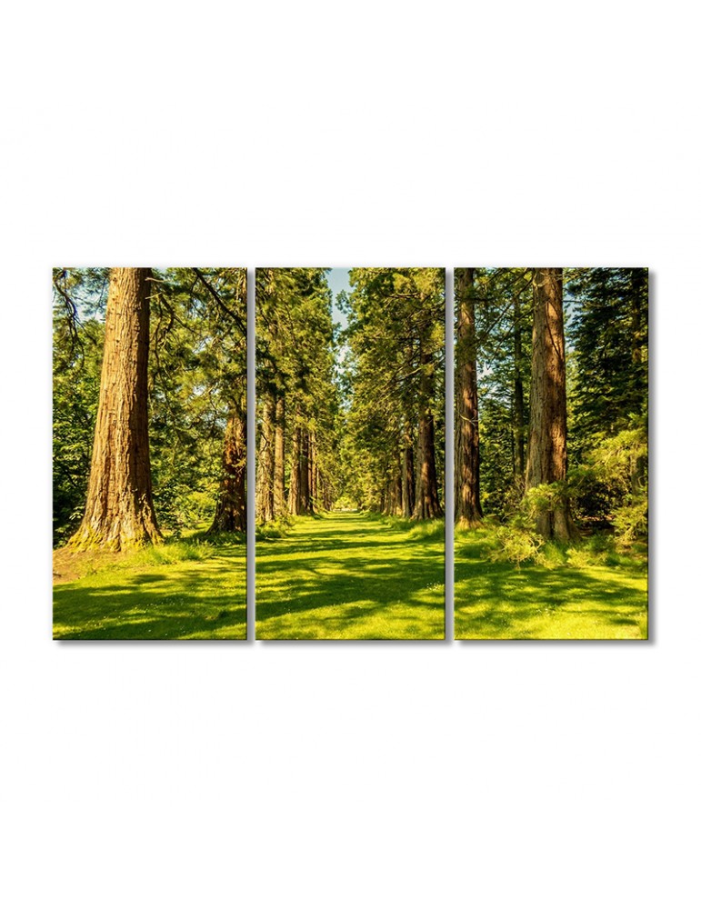 Модульная картина Artel «Брестская природа» 3 модуля 90x135 см 
Модульная картина Artel «Брестская природа» 3 модуля 90x135 см