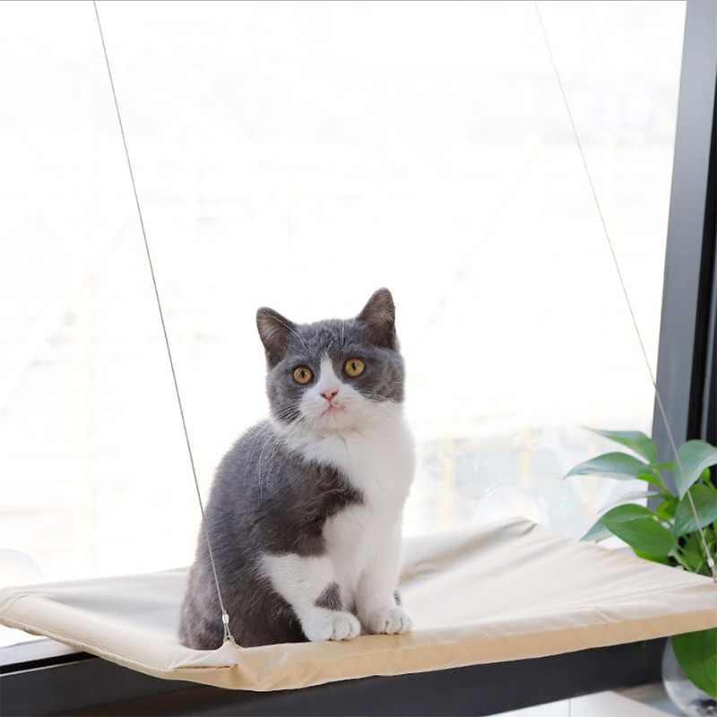 Оконная лежанка для кошек Taotaopets 072202 на присосках 55*35cm подвесная OPT(6224-21352)
Оконная лежанка для кошек Taotaopets 072202 на присосках 55*35cm подвесная OPT(6224-21352)