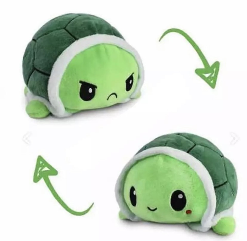 Двухсторонняя игрушка Черепашка-настроение / FS-545
Двухсторонняя игрушка Черепашка-настроение / FS-545