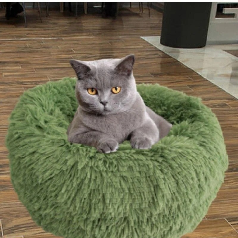 Лежак для кошек и собак, лежанка-подушка, кровать цвет зеленый XL 70 см до 12 кг 
Лежак для кошек и собак, лежанка-подушка, кровать цвет зеленый XL 70 см до 12 кг
