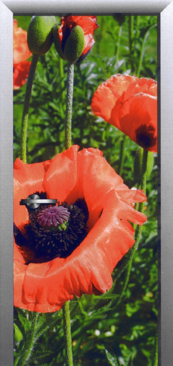 Фотообои на дверь AG FT0009 маки в поле 92 х 210 см 
Фотообои на дверь AG FT0009 маки в поле 92 х 210 см