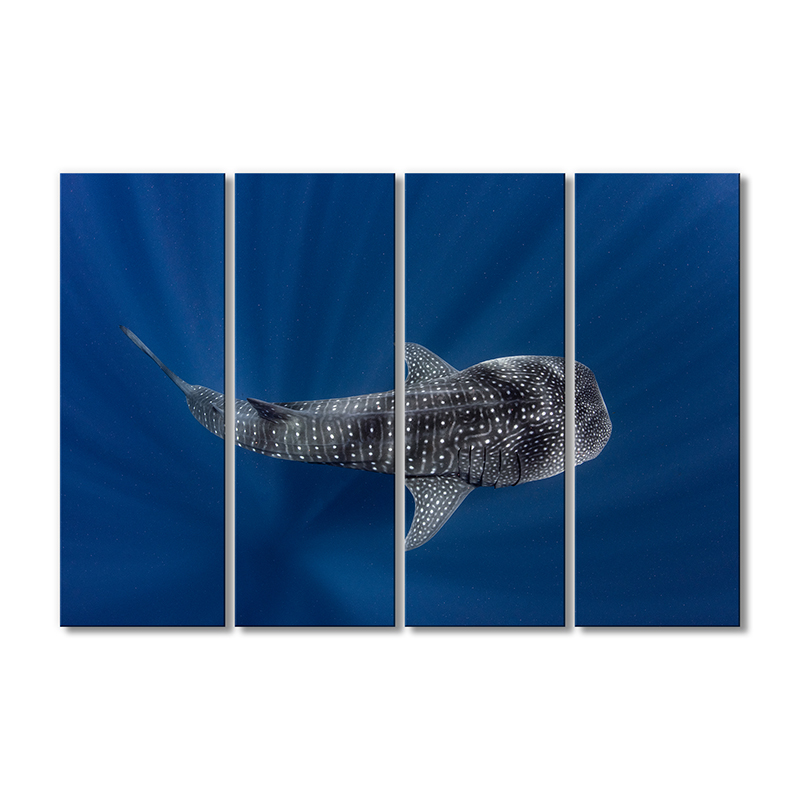 Модульная картина Artel «Китовая акула» 4 модуля 80x120 см
Модульная картина Artel «Китовая акула» 4 модуля 80x120 см