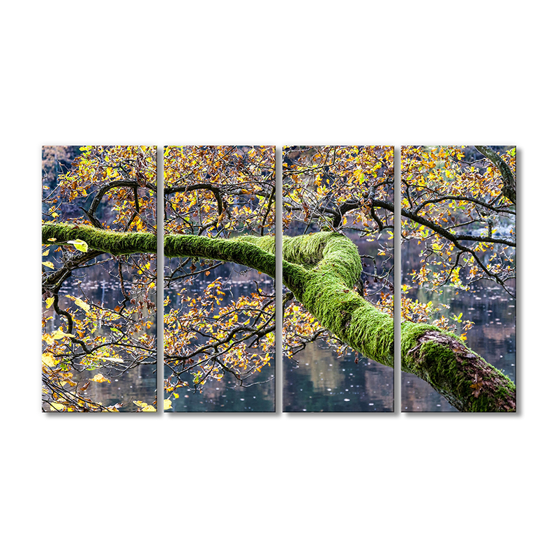 Модульная картина Artel «Осенняя ветка в зеленом мхе» 4 модуля 80x120 см
Модульная картина Artel «Осенняя ветка в зеленом мхе» 4 модуля 80x120 см