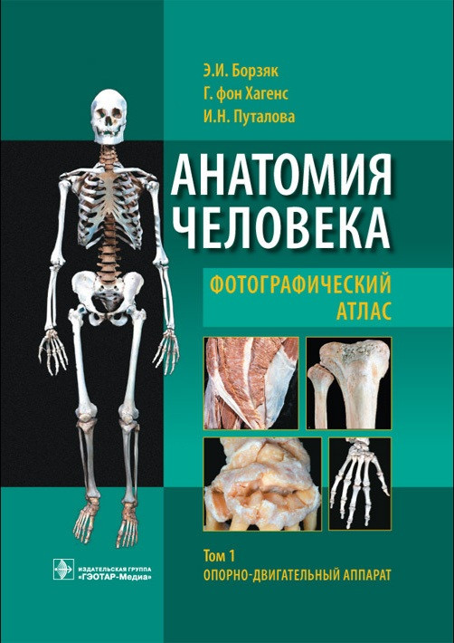 Борзяк, Хагенс Анатомия человека. Фотографический атлас. Том 1. Опорно-двигательный аппарат (978-5-9704-3069-9) Изд. ГЭОТАР-Медиа
Борзяк, Хагенс Анатомия человека. Фотографический атлас. Том 1. Опорно-двигательный аппарат (978-5-9704-3069-9) Изд. ГЭОТАР-Медиа