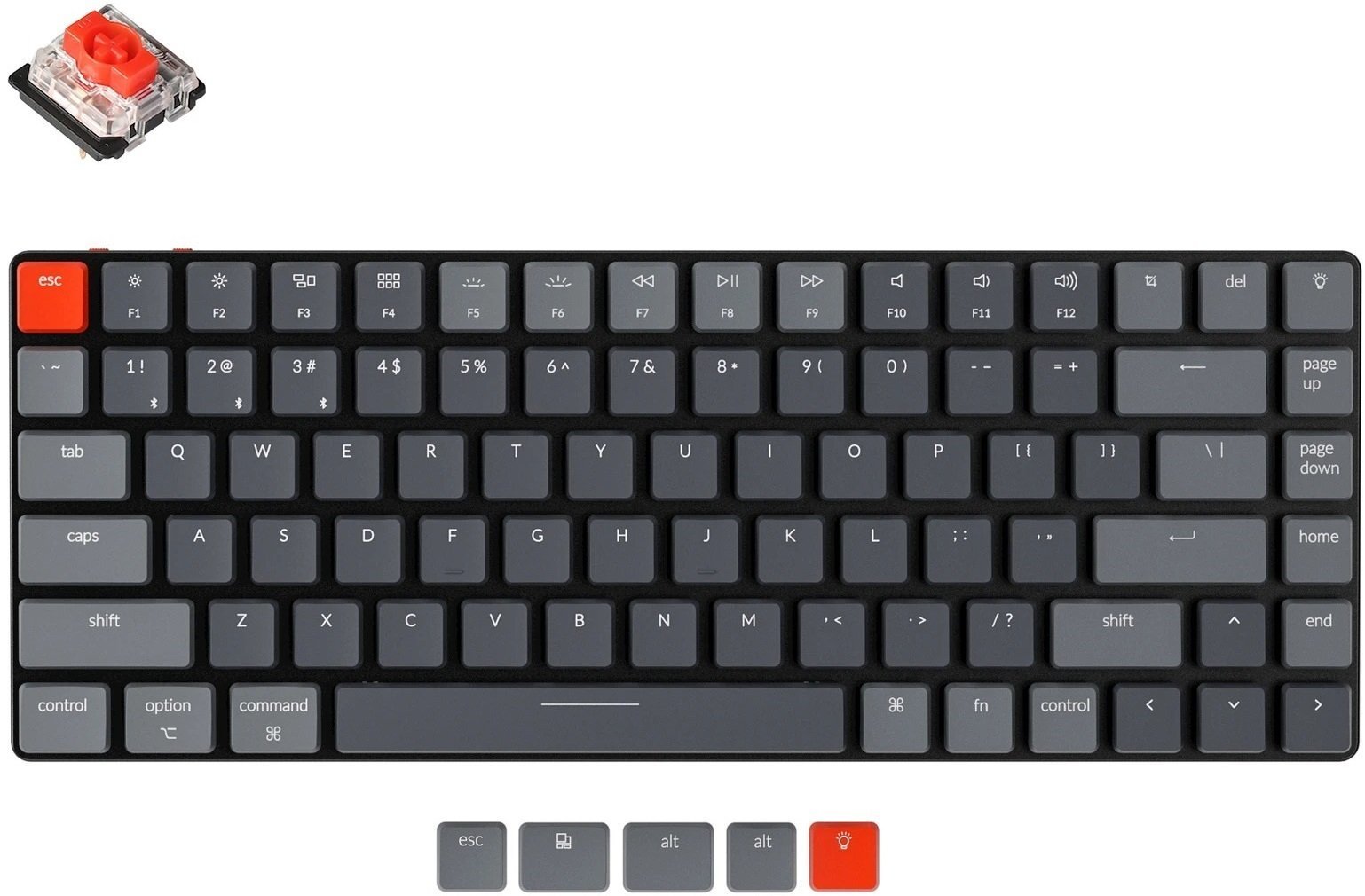Клавиатура беспроводная Keychron K3 Low Profile Gateron Red White LED USB/Bluetooth Black (ENG/RU) (K3A1_Keychron)
Клавиатура беспроводная Keychron K3 Low Profile Gateron Red White LED USB/Bluetooth Black (ENG/RU) (K3A1_Keychron)