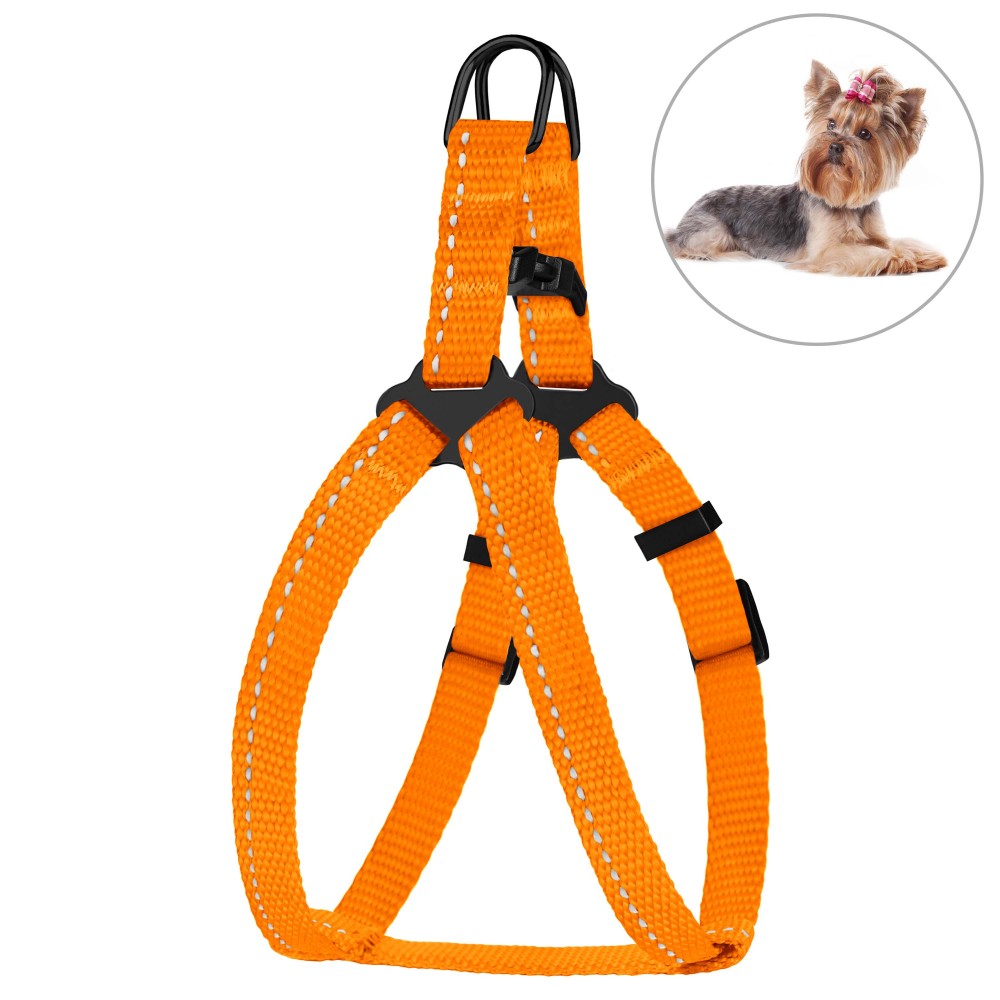 Шлея для Собак Мелких Пород BronzeDog Active Нейлоновая со Светоотражением Оранжевая 23-30 см (68/1304)
Шлея для Собак Мелких Пород BronzeDog Active Нейлоновая со Светоотражением Оранжевая 23-30 см (68/1304)