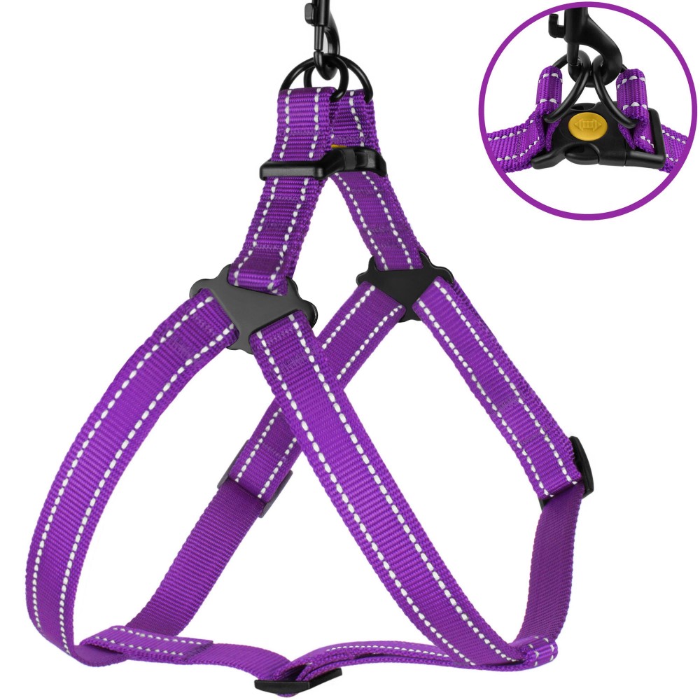 Шлея для Собак BronzeDog Active Нейлоновая со Светоотражением Фиолетовая 45-60 см (71/1307)
Шлея для Собак BronzeDog Active Нейлоновая со Светоотражением Фиолетовая 45-60 см (71/1307)
