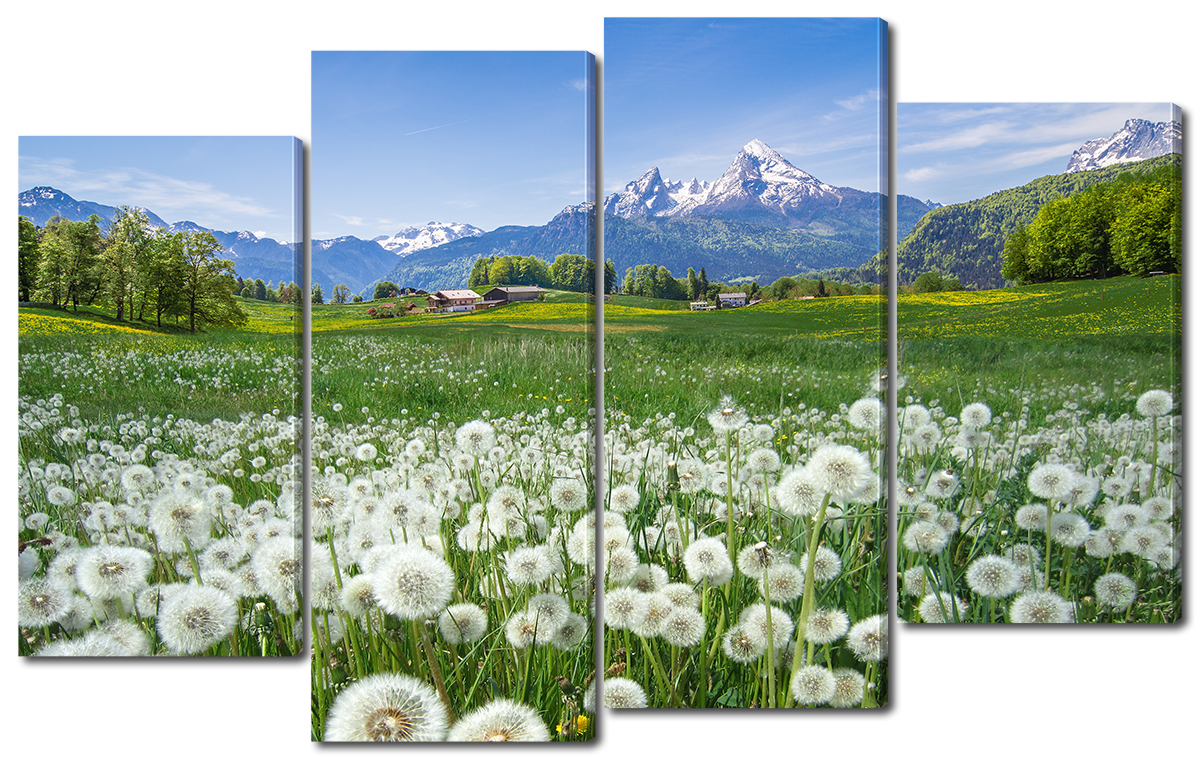 Модульная картина Interno Эко кожа Поле в одуванчиках 94x56см
Модульная картина Interno Эко кожа Поле в одуванчиках 94x56см