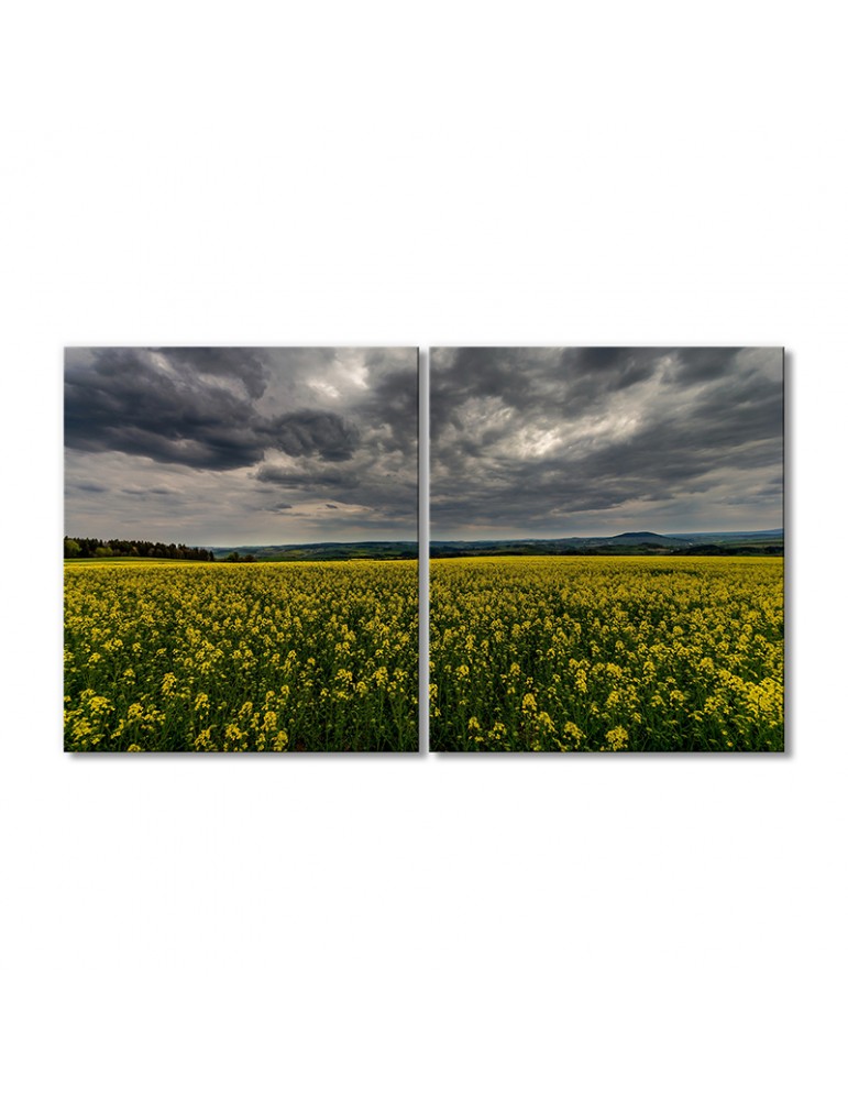 

Модульная картина Artel «Пасмурное небо над цветочным полем» 2 модуля 60x90 см