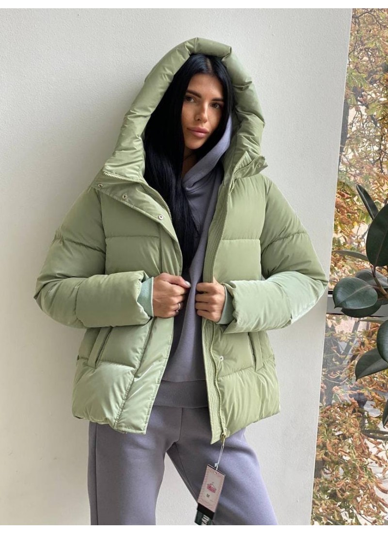 Пуховик демисезонный с наполнением биопух глянцевый Modern Boutique оливковый, M ПУХ066/1
Пуховик демисезонный с наполнением биопух глянцевый Modern Boutique оливковый, M ПУХ066/1