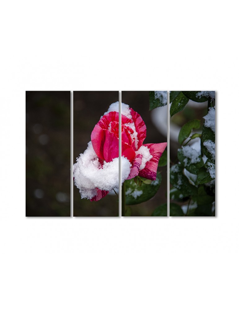 Модульная картина Artel «Роза в снегу» 4 модуля 70x105 см
Модульная картина Artel «Роза в снегу» 4 модуля 70x105 см