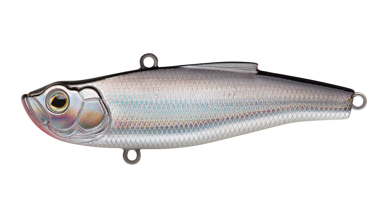 Воблер Раттлин Strike Pro Jedi Rattler 80, 80 мм, 22,4 гр, Тонущий, цвет: A010-EP Black Back Silver, (SP-198S#A010-EP) (107300)
Воблер Раттлин Strike Pro Jedi Rattler 80, 80 мм, 22,4 гр, Тонущий, цвет: A010-EP Black Back Silver, (SP-198S#A010-EP) (107300)