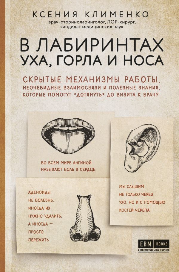 В лабиринтах уха, горла и носа. Скрытые механизмы работы, неочевидные взаимосвязи и полезные знания, которые помогут "дотянуть" до визита к врачу
В лабиринтах уха, горла и носа. Скрытые механизмы работы, неочевидные взаимосвязи и полезные знания, которые помогут "дотянуть" до визита к врачу