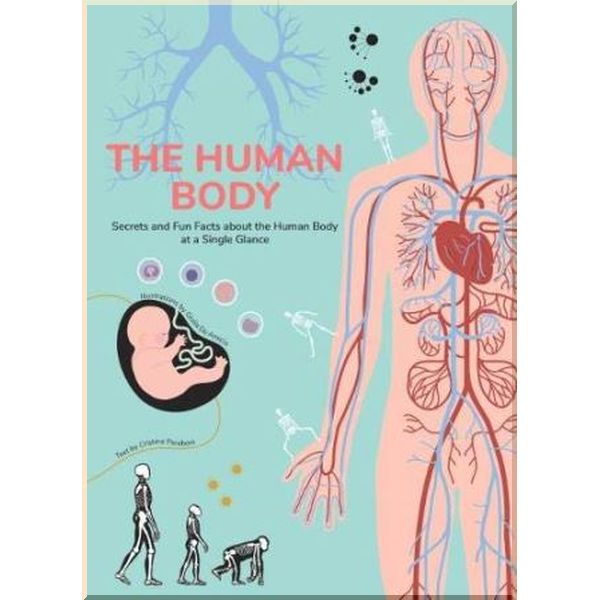 White Star The Human Body. Giulia De Amicis, Cristina Peraboni. ISBN:9788854413726
White Star The Human Body. Giulia De Amicis, Cristina Peraboni. ISBN:9788854413726