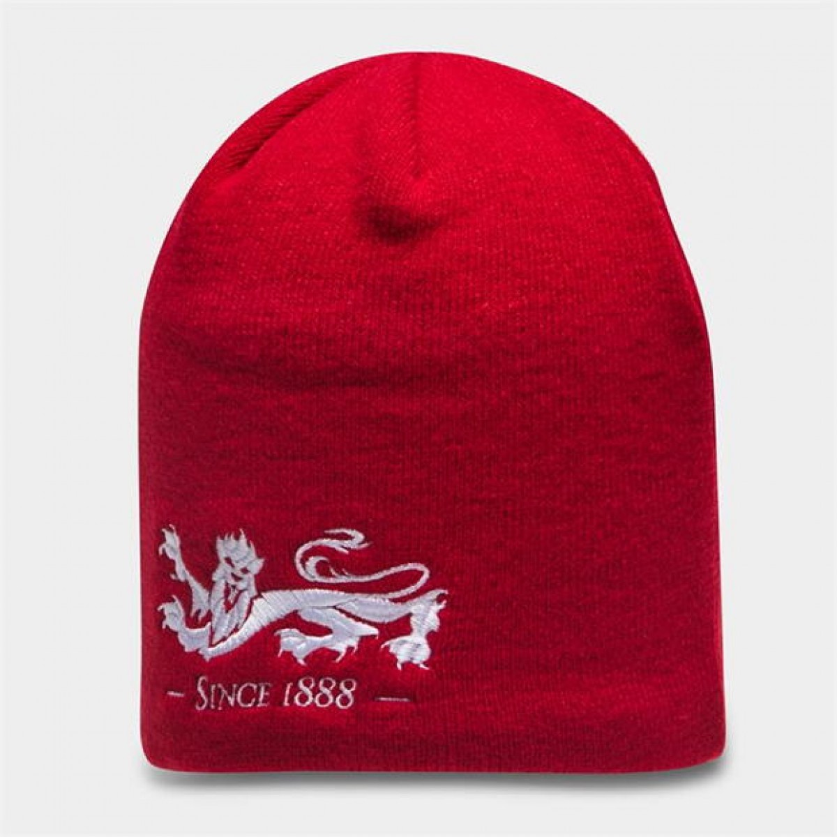 Головной убор Canterbury British and Irish Lions Supporters Beanie Hat Red/White, Универсальный
Головной убор Canterbury British and Irish Lions Supporters Beanie Hat Red/White, Универсальный
