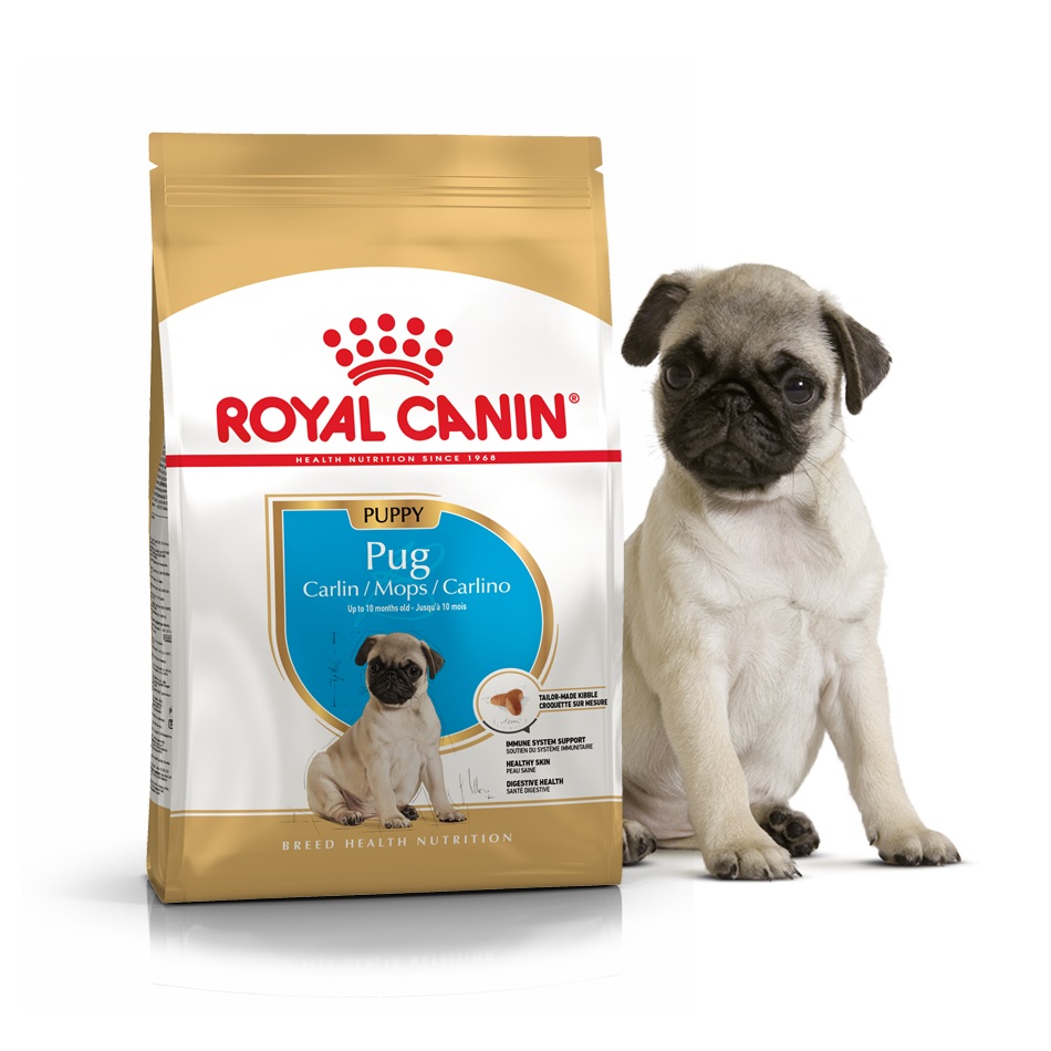 Сухой корм Royal Canin для щенков мопсов до 10 месяцев Breed PUG PUPPY 1,5 кг BGL-RC-383
Сухой корм Royal Canin для щенков мопсов до 10 месяцев Breed PUG PUPPY 1,5 кг BGL-RC-383