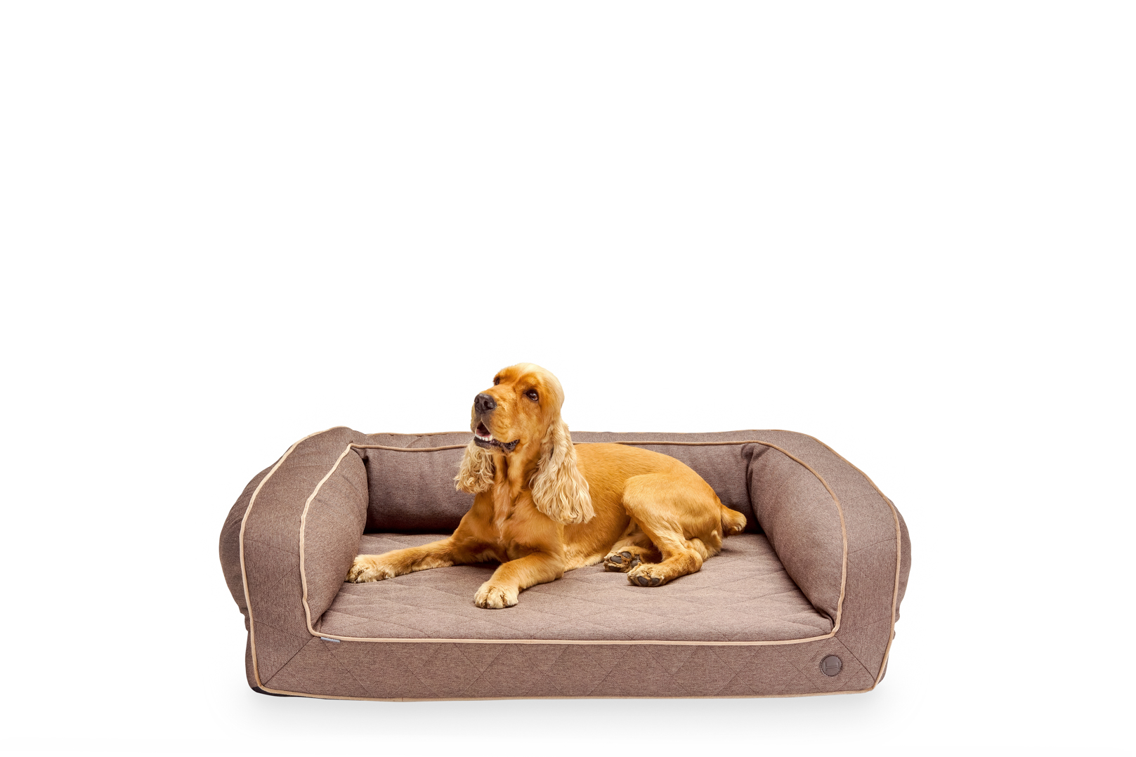 Ортопедический диван коричневый Sleeper c Memory Foam Brown XL (130х90 cm) Harley & Cho BGL-HL-09-3
Ортопедический диван коричневый Sleeper c Memory Foam Brown XL (130х90 cm) Harley & Cho BGL-HL-09-3