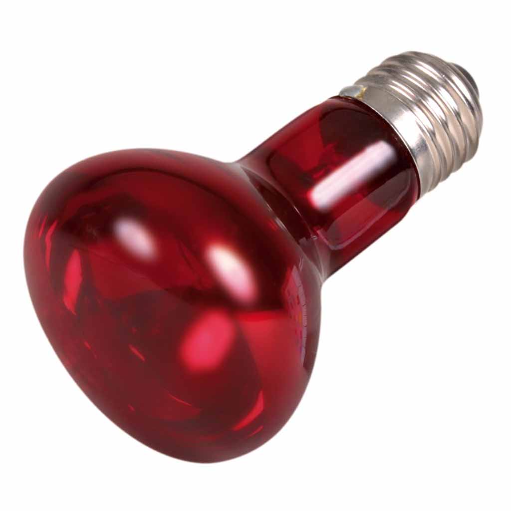 Лампа инфракрасная для обогрева Infrared Heat Spot Lamp 35W Ø 63 х 100 мм ∠25° Trixie BGL-TX-255
Лампа инфракрасная для обогрева Infrared Heat Spot Lamp 35W Ø 63 х 100 мм ∠25° Trixie BGL-TX-255