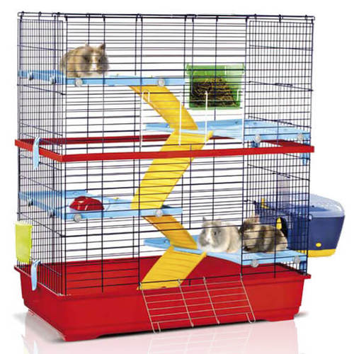 "DOUBLE 100" ДАБЛ 100 клетка для грызунов 115 x 100 x 54.5 см Imac BGL-IM-30 
"DOUBLE 100" ДАБЛ 100 клетка для грызунов 115 x 100 x 54.5 см Imac BGL-IM-30