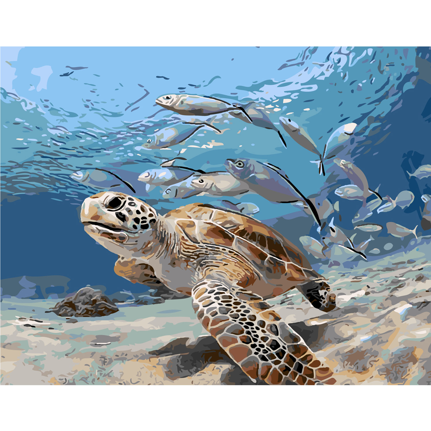 Картина по номерам Подводный мир, 40х50 см, Strateg (SY6175)
Картина по номерам Подводный мир, 40х50 см, Strateg (SY6175)