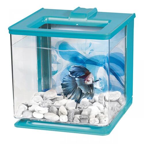 Аквариум для петушка голубой Betta EZ Care 16 x 16 x 16 см MARINA Hagen BGL-HG-153
Аквариум для петушка голубой Betta EZ Care 16 x 16 x 16 см MARINA Hagen BGL-HG-153