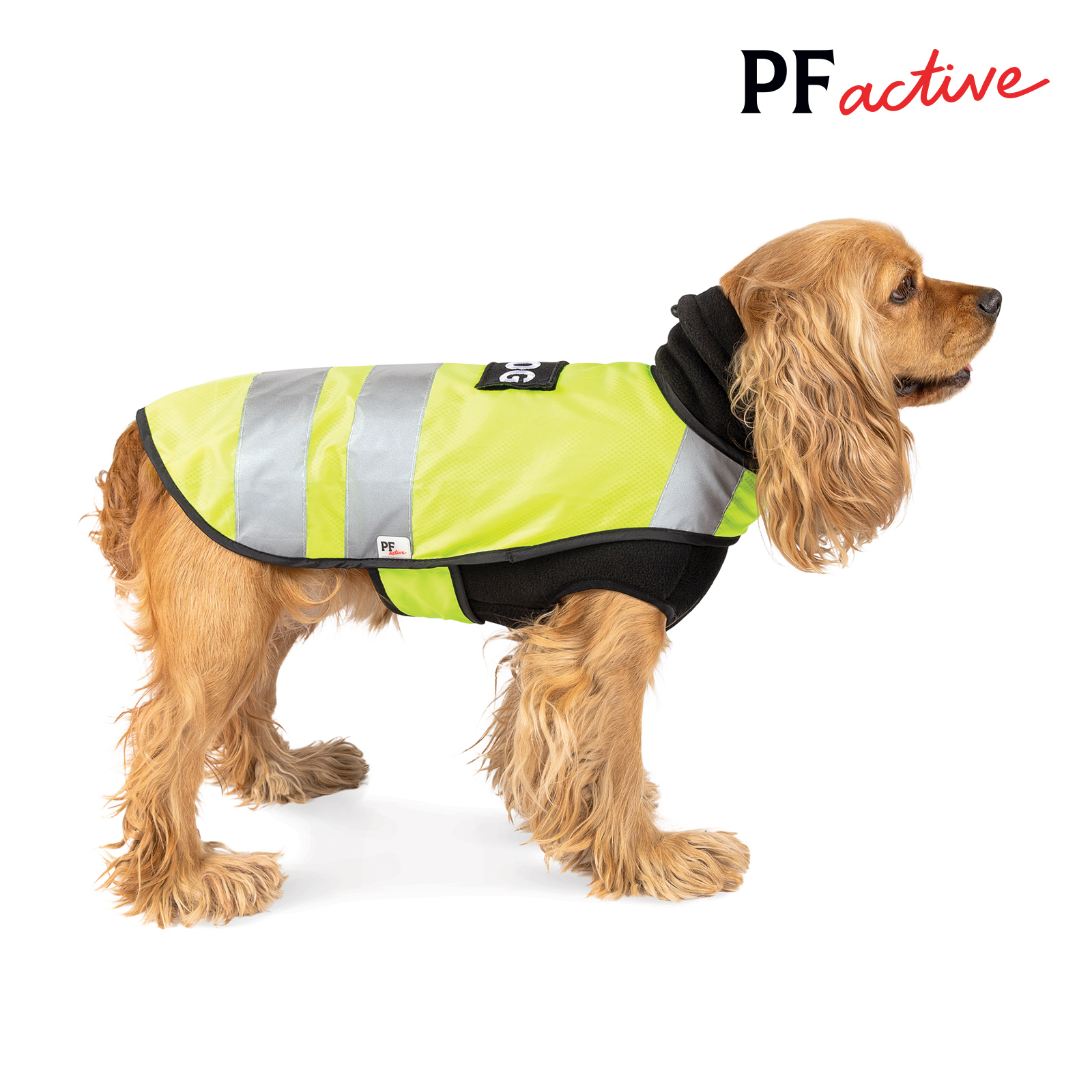 Жилет для собак с теплым флисовым свитером в комплекте WARM YELLOW VEST S Pet Fashion BGL-PF-1103
Жилет для собак с теплым флисовым свитером в комплекте WARM YELLOW VEST S Pet Fashion BGL-PF-1103