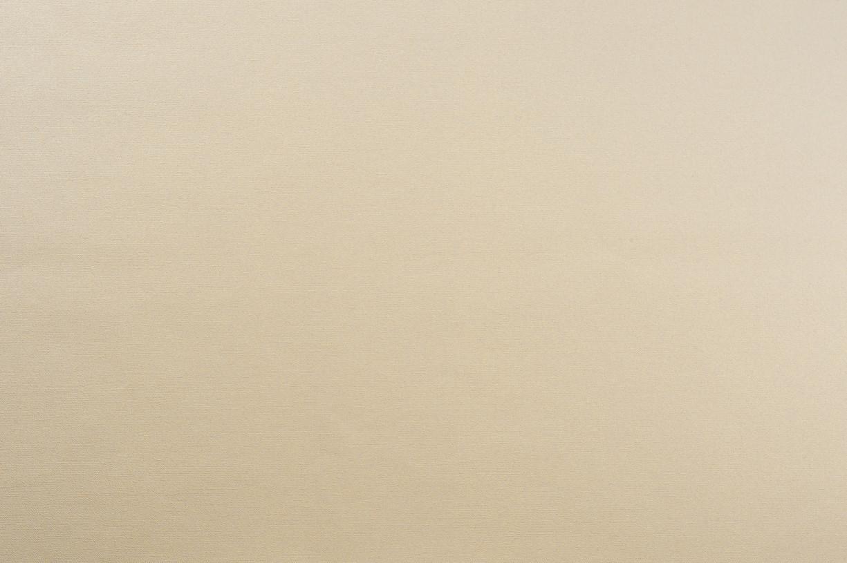 Обои виниловые горячего тиснения на флизелиновой основе Vinil LS Ливерпуль 1.06х10.05 м песочные (СШТ 3-1551)
Обои виниловые горячего тиснения на флизелиновой основе Vinil LS Ливерпуль 1.06х10.05 м песочные (СШТ 3-1551)