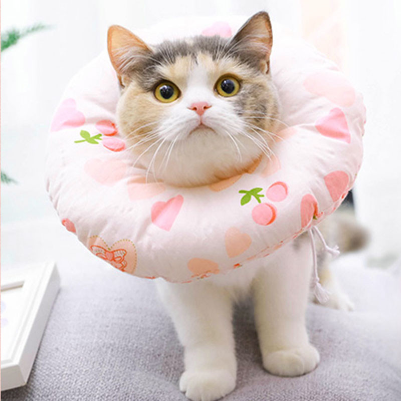 Воротник-подушка мягкий Hoopet 19G0005GF Peach Love размер XL для кошек защита при повреждениях (K/OPT2_7929-30416)
Воротник-подушка мягкий Hoopet 19G0005GF Peach Love размер XL для кошек защита при повреждениях (K/OPT2_7929-30416)