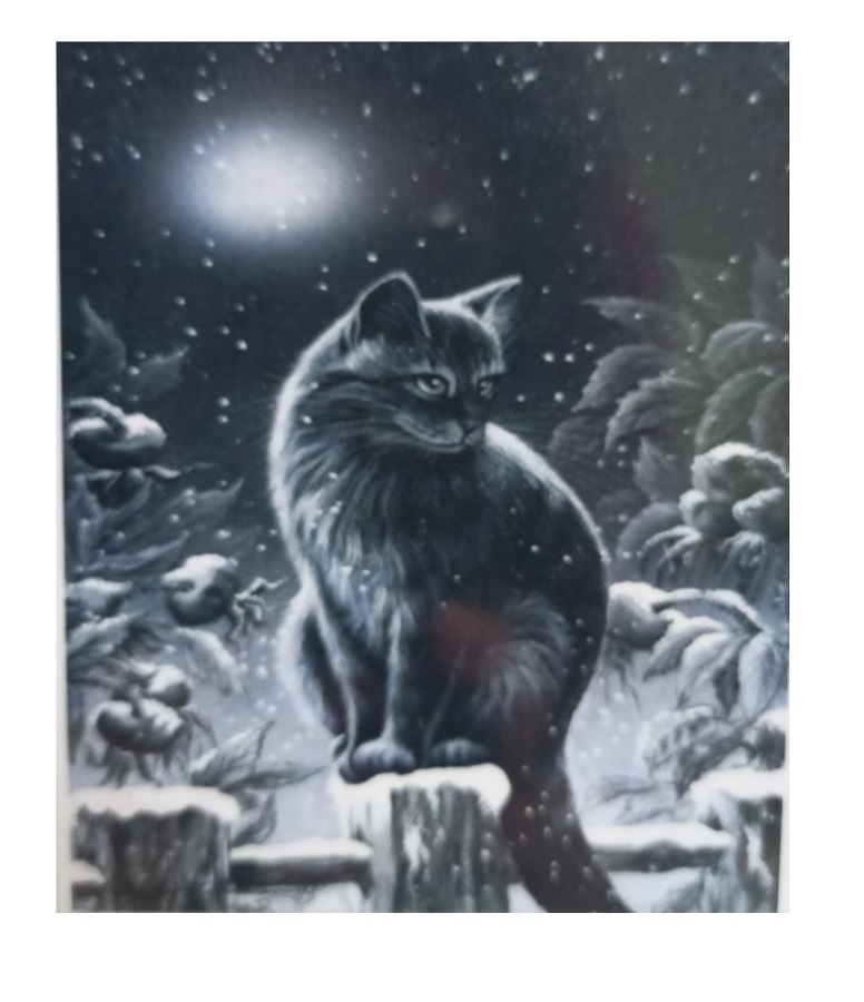 Картина по номерам 30х40 см EKTL1449 Кот на заборе
Картина по номерам 30х40 см EKTL1449 Кот на заборе