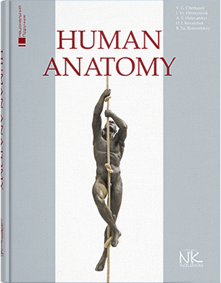 Human Аnatomy Анатомія людини Черкасов В.Г., Герасим’юк І. Є, Головацький А. С. та інші
Human Аnatomy Анатомія людини Черкасов В.Г., Герасим’юк І. Є, Головацький А. С. та інші