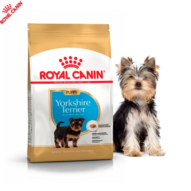 Сухой полнорационный корм Royal Canin Yorkshire Terrier Puppy - для щенков йоркширского терьера от 2 до 10 месяцев 1.5 кг (39720051)
Сухой полнорационный корм Royal Canin Yorkshire Terrier Puppy - для щенков йоркширского терьера от 2 до 10 месяцев 1.5 кг (39720051)