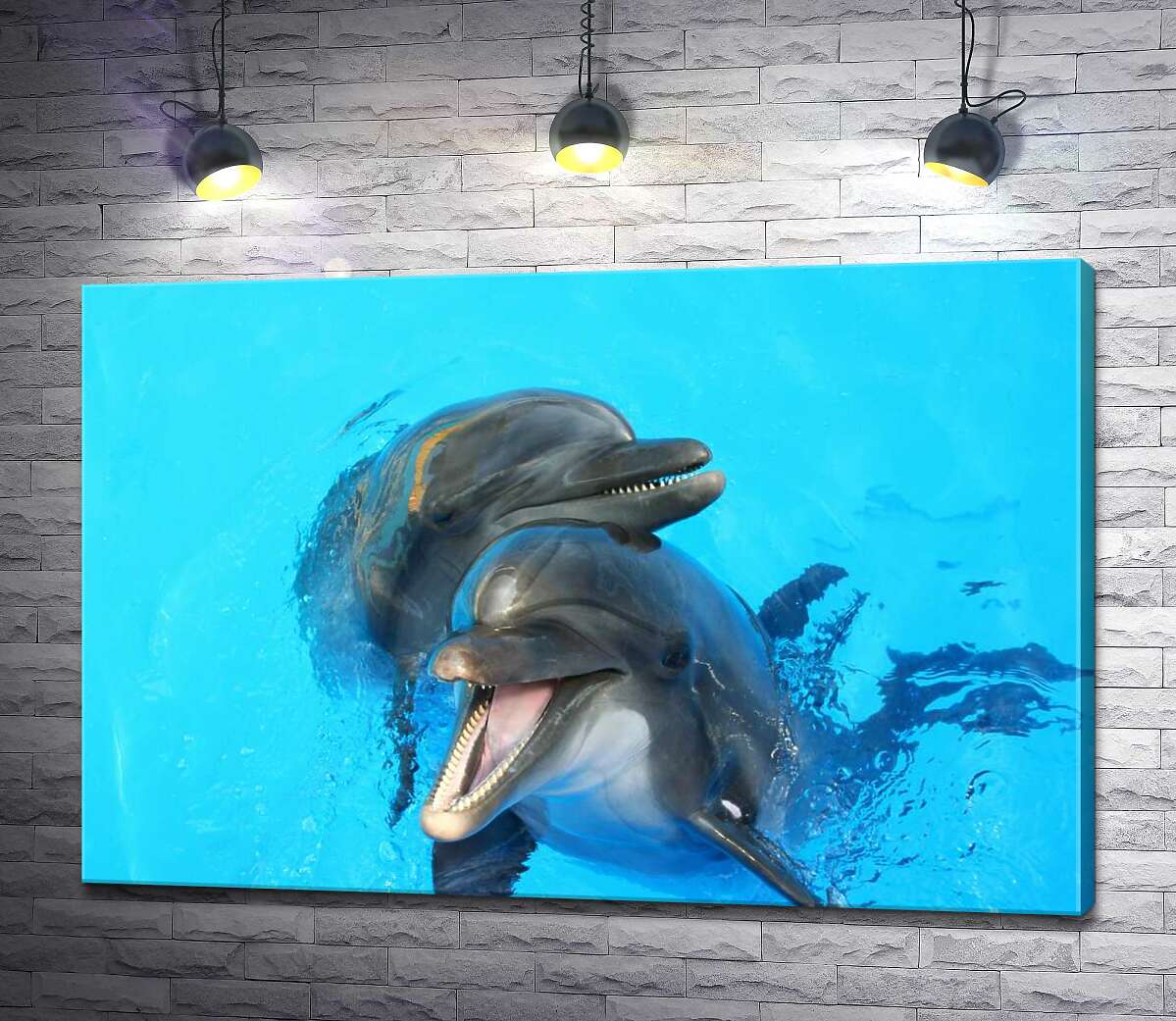 Картина ArtPoster Два дельфина выглядывают из голубизны воды 100x67 см Модуль №1
Картина ArtPoster Два дельфина выглядывают из голубизны воды 100x67 см Модуль №1