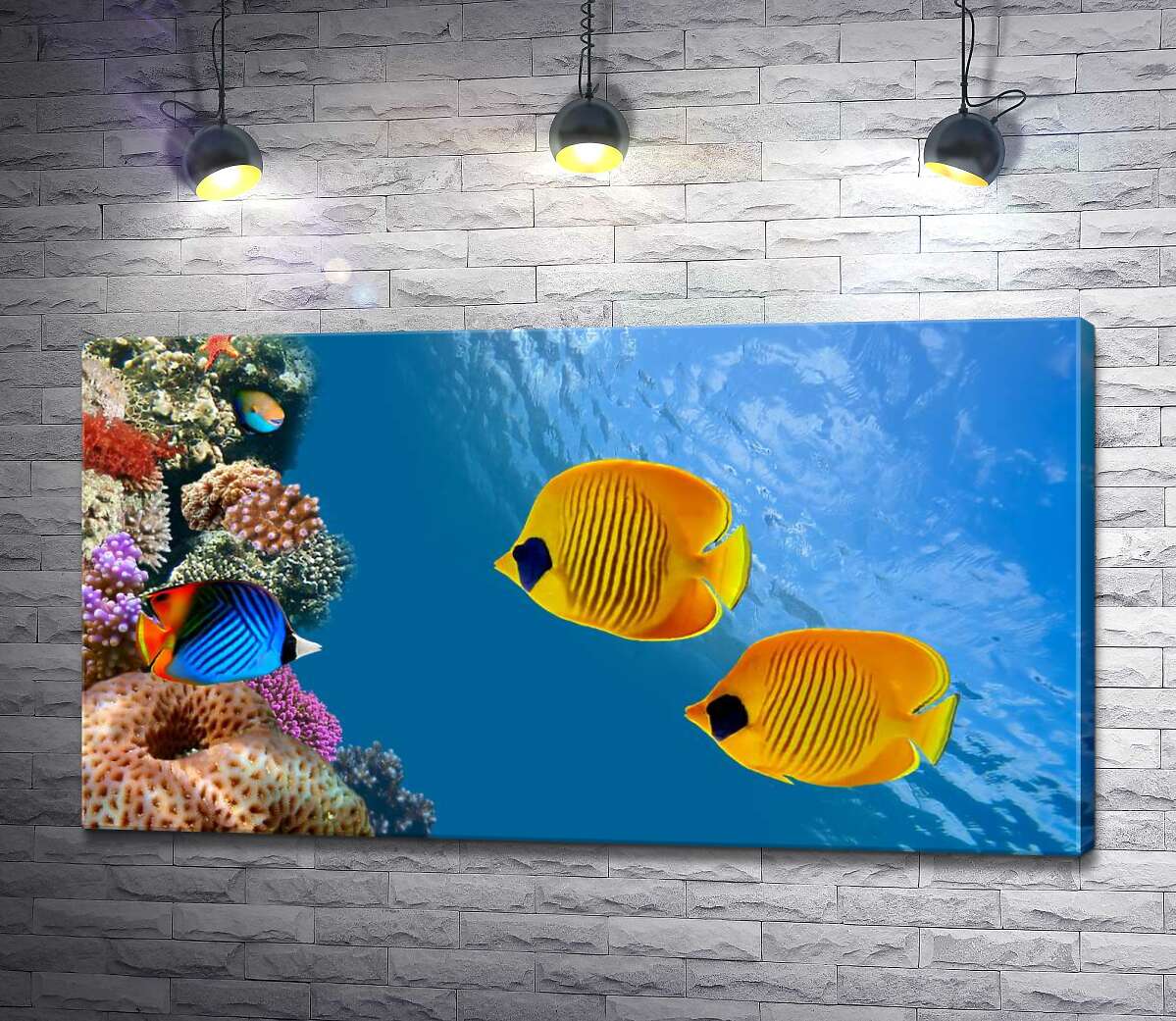 Картина ArtPoster Желтые рыбы-бабочки плавают среди острова кораллов 100x55 см Модуль №1
Картина ArtPoster Желтые рыбы-бабочки плавают среди острова кораллов 100x55 см Модуль №1
