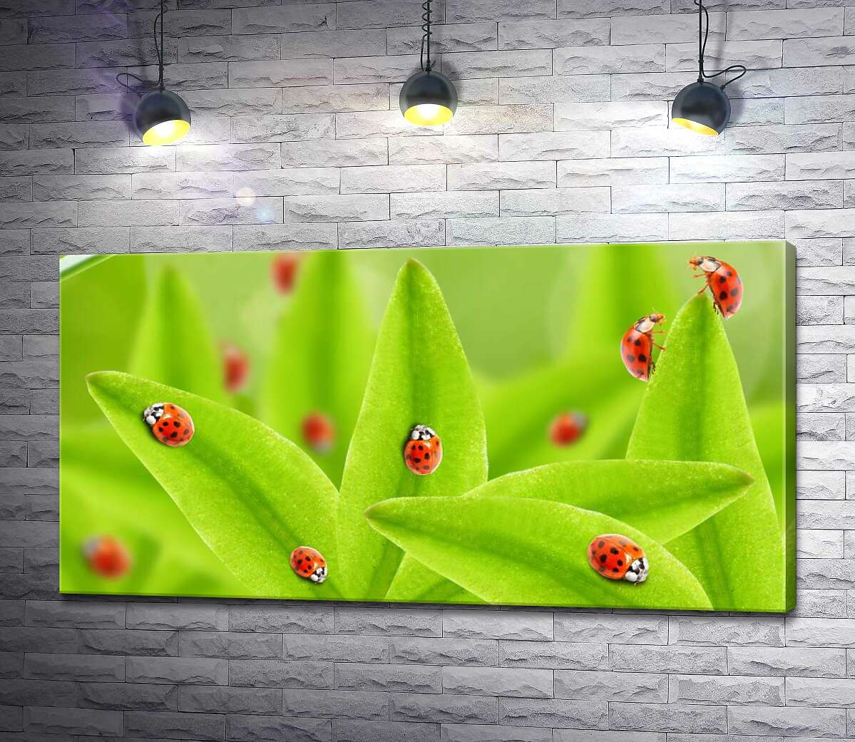 Картина ArtPoster Краснобокие божьи коровки ползают по сочной листве 130x68 см Модуль №1
Картина ArtPoster Краснобокие божьи коровки ползают по сочной листве 130x68 см Модуль №1
