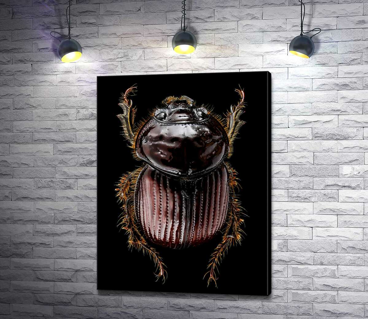 Картина ArtPoster Коричневая поверхность панциря жука онтофага 130x173 см Модуль №1
Картина ArtPoster Коричневая поверхность панциря жука онтофага 130x173 см Модуль №1