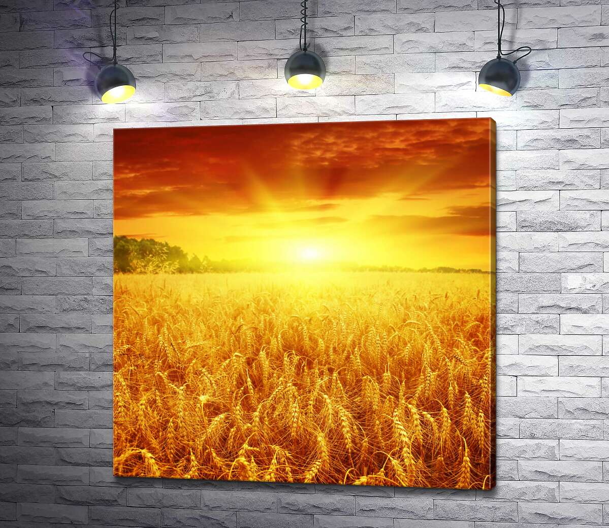 Картина ArtPoster Налитая пшеница колосится золотом в лучах солнца 100x100 см Модуль №1
Картина ArtPoster Налитая пшеница колосится золотом в лучах солнца 100x100 см Модуль №1