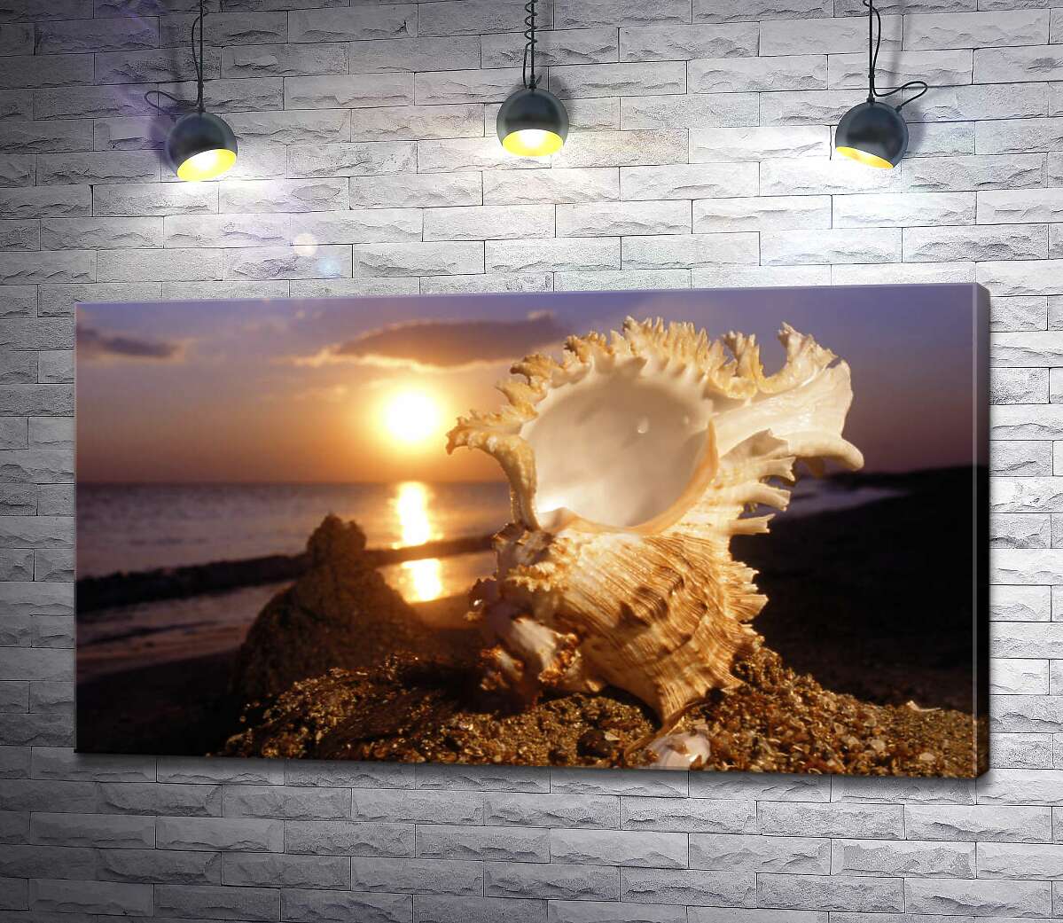 Картина ArtPoster Причудливые формы морской ракушки на фоне вечернего пляжа 130x73 см Модуль №1
Картина ArtPoster Причудливые формы морской ракушки на фоне вечернего пляжа 130x73 см Модуль №1