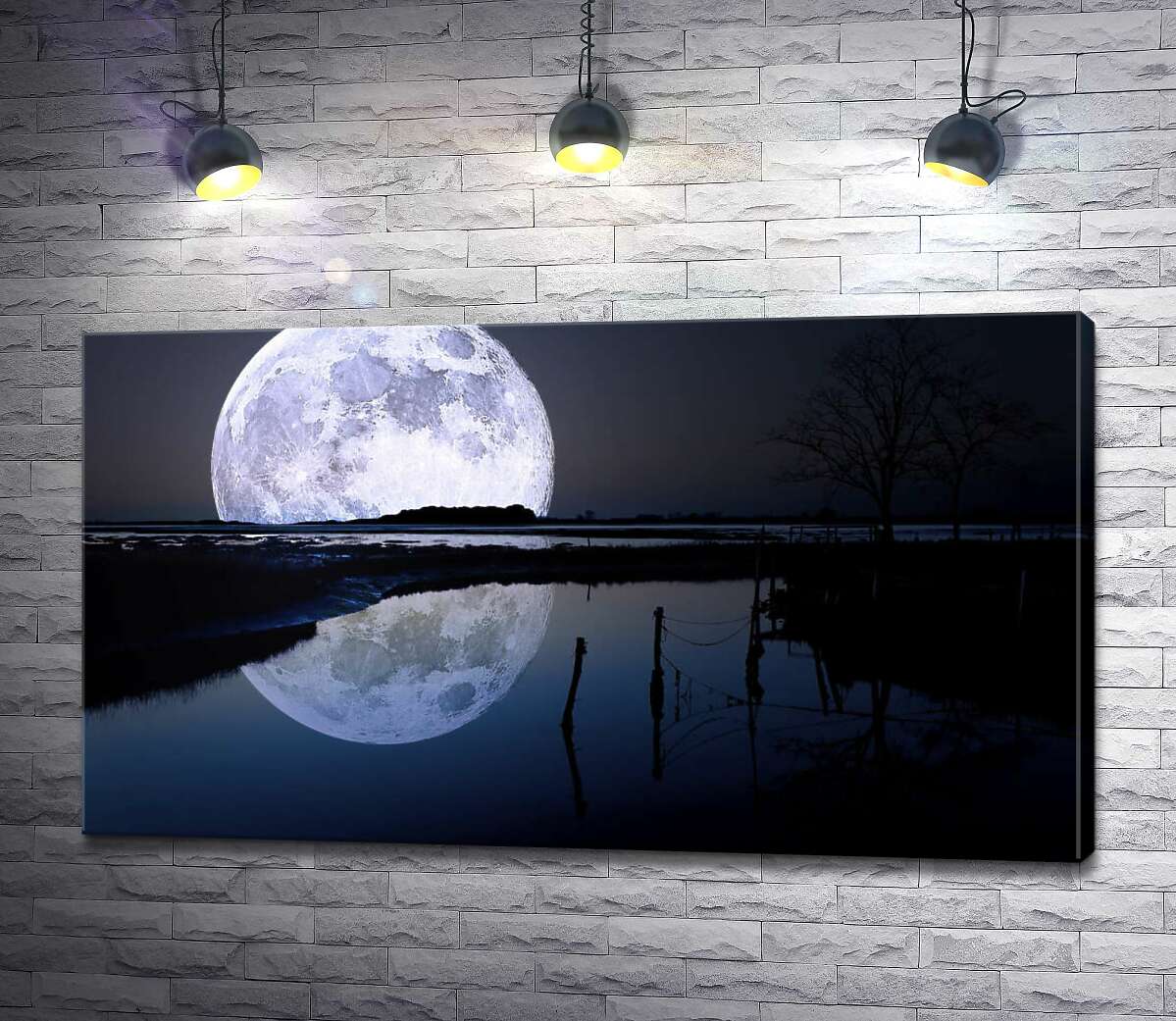 Картина ArtPoster Пятнистая луна нависла над темным болотом 100x56 см Модуль №1
Картина ArtPoster Пятнистая луна нависла над темным болотом 100x56 см Модуль №1