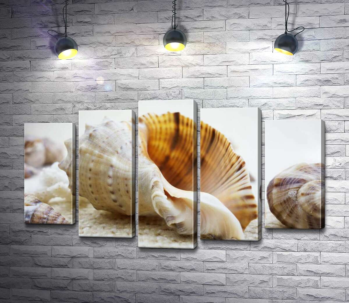 Модульная картина ArtPoster Ажурные изгибы форм в морских раковинах 130x78 см Модуль №26
Модульная картина ArtPoster Ажурные изгибы форм в морских раковинах 130x78 см Модуль №26