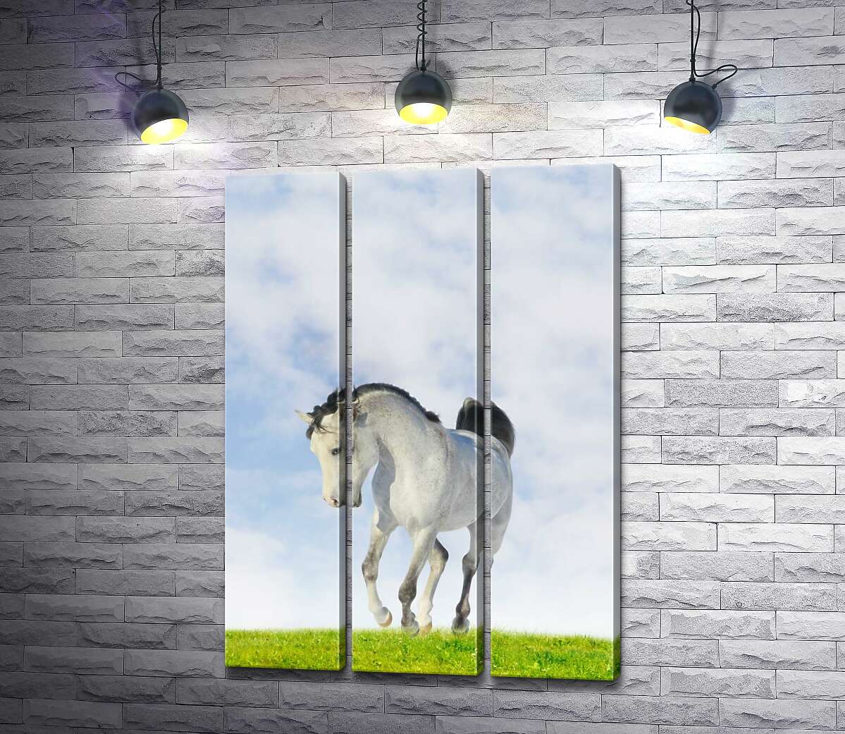 Модульная картина ArtPoster Белая лошадь скачет по сочной траве 102x144 см Модуль №11
Модульная картина ArtPoster Белая лошадь скачет по сочной траве 102x144 см Модуль №11