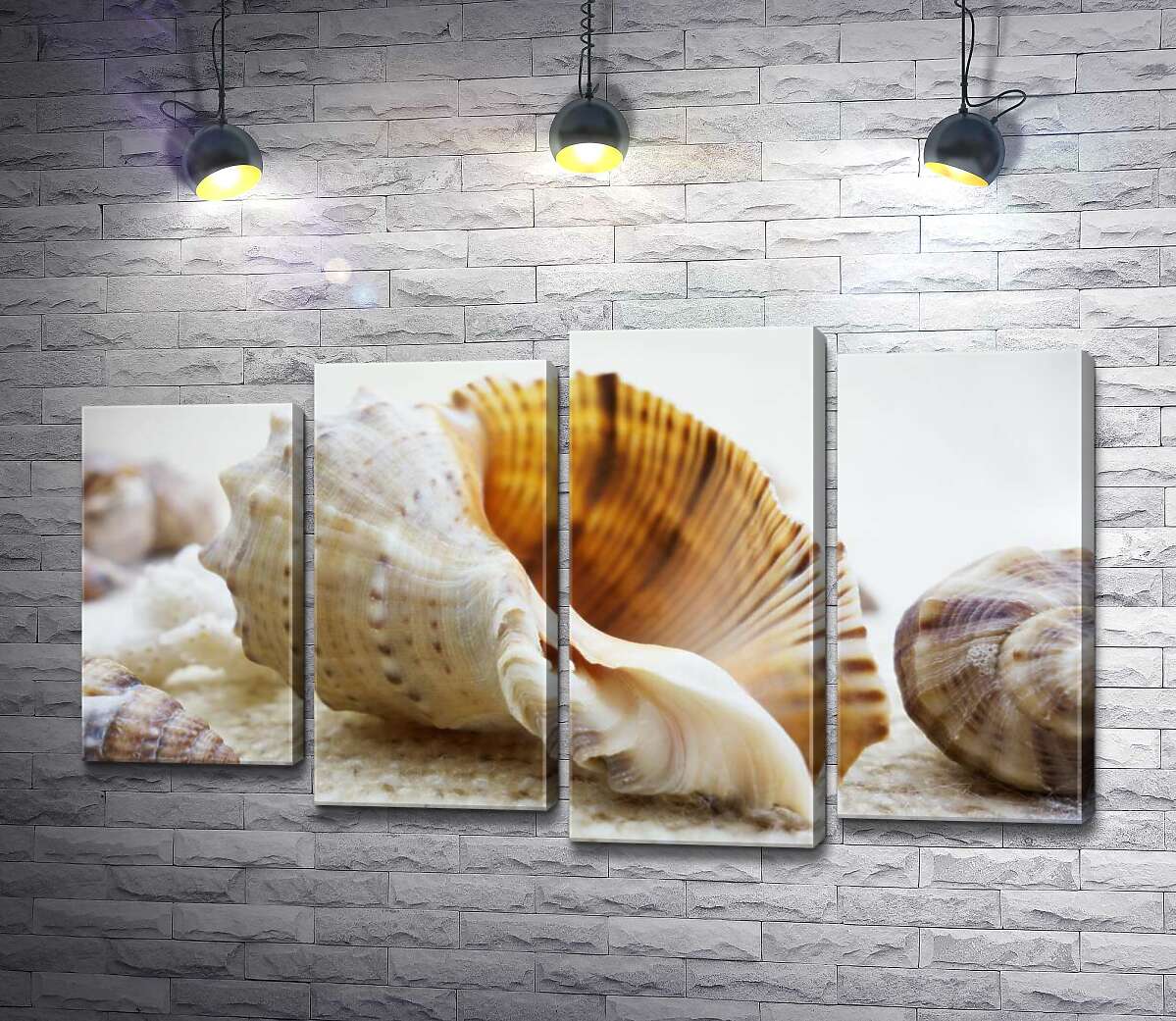 Модульная картина ArtPoster Ажурные изгибы форм в морских раковинах 80x49 см Модуль №21
Модульная картина ArtPoster Ажурные изгибы форм в морских раковинах 80x49 см Модуль №21